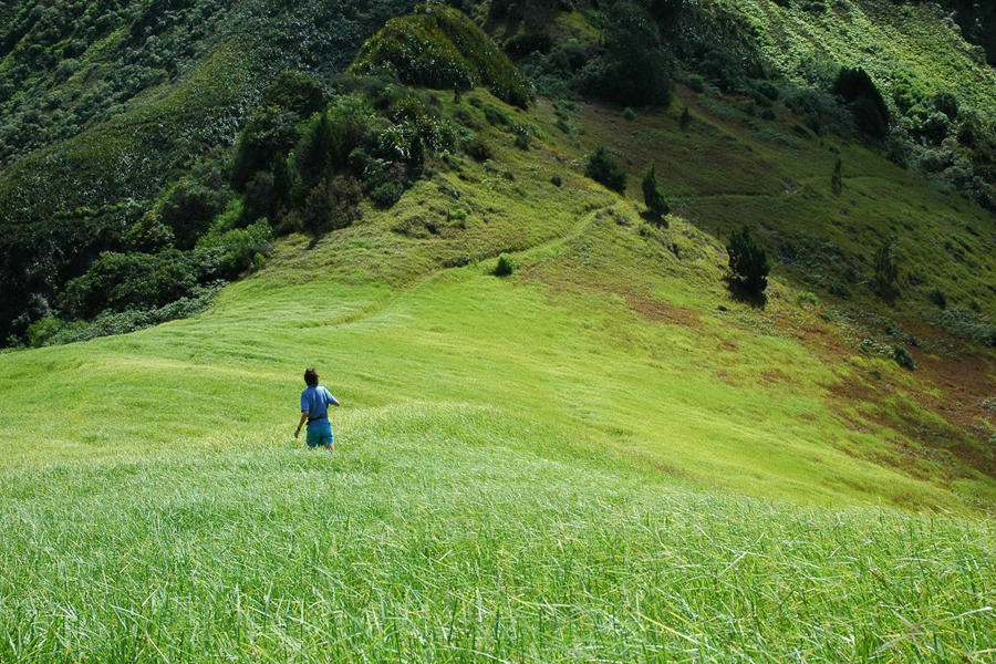 saint helena island guys Last weekend, the tiny and isolated british island of saint helena welcomed its first scheduled commercial flight from south africa. saint helena island guys Last weekend, the tiny and isolated british island of saint helena welcomed its first scheduled commercial flight from south africa.