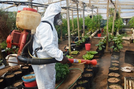 Applying a biopesticide