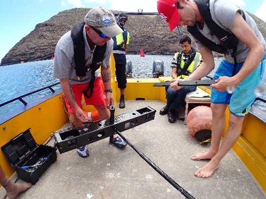 Shows the team setting up the BRUVS system