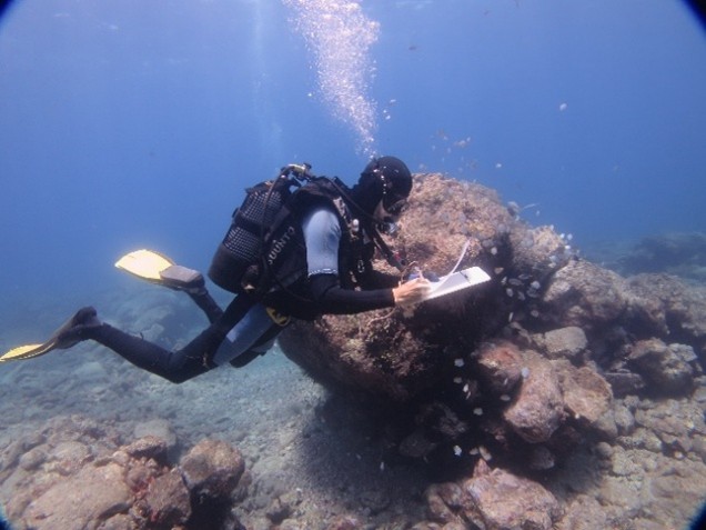 Divers conducting annual underwater visual census (UVC) surveys