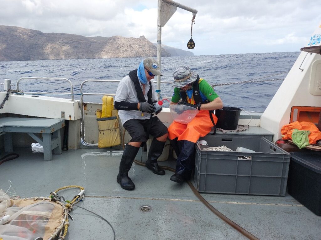 Scientist filtering plankton samples