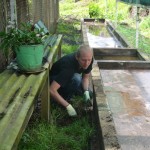 Clearing Weeds