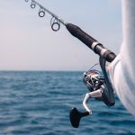 Fishing-Rod-Ocean