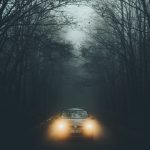 running-vehicle-between-trees