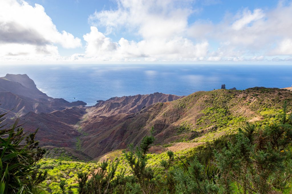 St Helena Landscape 